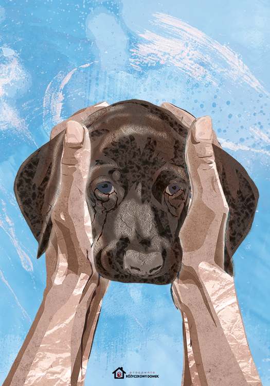 W dłoniach Karoliny